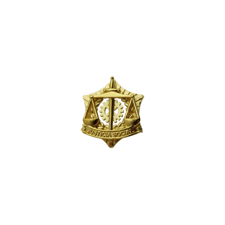 Gold plated badge "Social Graduates"Ref. code: IS0130Gold plated Social Graduates badge.We have all professions and careers available: Advocacy (Lawyer / Law), Commercial Agent, Quantity Surveyor, Architect (Architecture), ATS (Nursing), Fine Arts, Biological Sciences (Biology), Exact Sciences, Physical Sciences, Political Sciences, Political and Economic Sciences, Chemical Sciences, Commerce, Draftsman, Economics, Business, Pharmacy, Philosophy and Letters, Geography, Geological (Geology), Social Graduate, Computer Science, Agricultural Engineering, Civil Engineering, Electronic Engineering, Forestry Engineering, Mining Engineering, Naval Engineering, Higher Industrial Engineering, Industrial Technical Engineering, Telecommunications Engineering, Textile Engineering, Jewelry, Teaching, Medicine, Music, Psychology, Topography, Dentistry, Optics, Journalism, Veterinary Medicine.And if we don't have yours, please contact us.