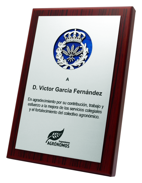 Trophy in steel and solid wood "Agronomists"Ref. code: PL0441Personalized trophy made of solid wood and finished in steel, with support piece designed and manufactured exclusively by Joaquín Prior.Possibility to customize with your logo and a commemorative text.Measures: 16x23x2cm.Size: 160x230mm.