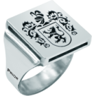 "Heraldic shield" silver ringRef. code: SR0237Ring made of sterling silver and stainless steel.Size: 16x16mm.