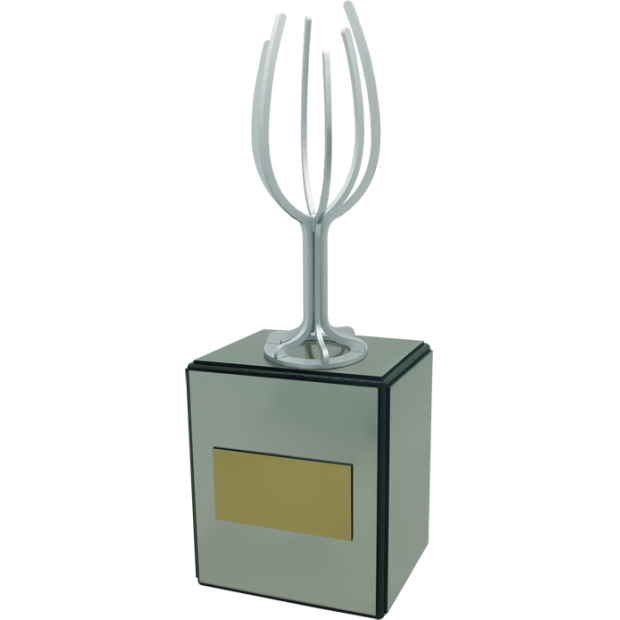 Placas conmemorativas y Trofeos